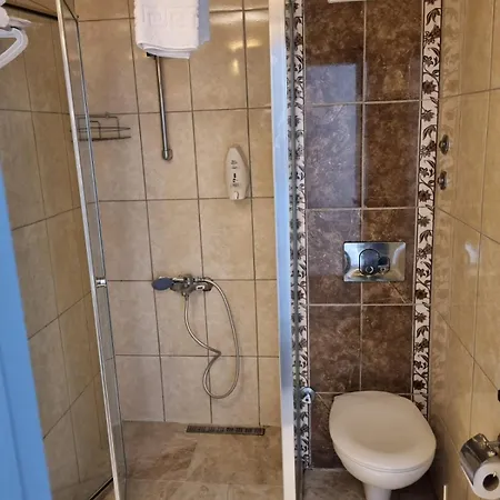 Tepe Hotel&business 2*